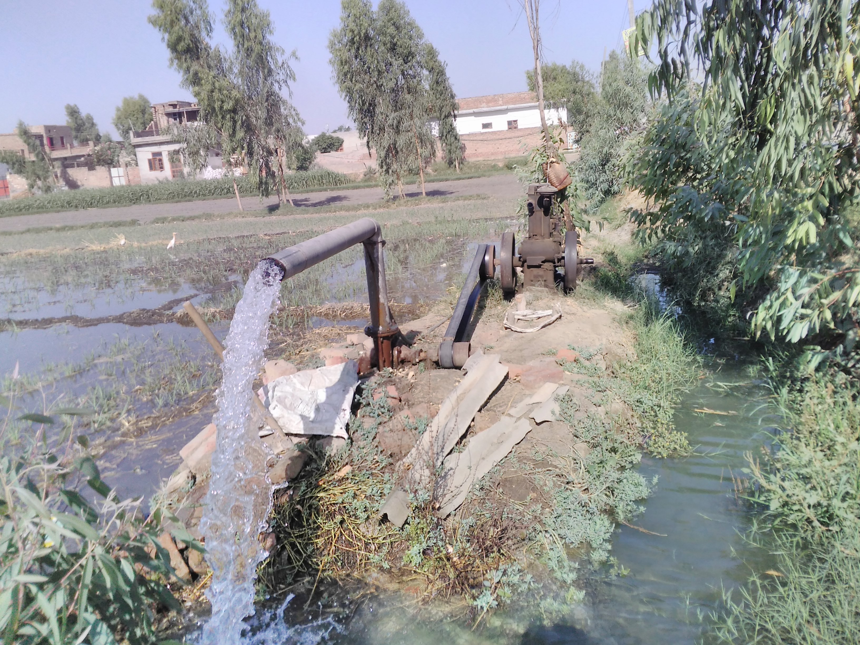 Agricultural Activity 3