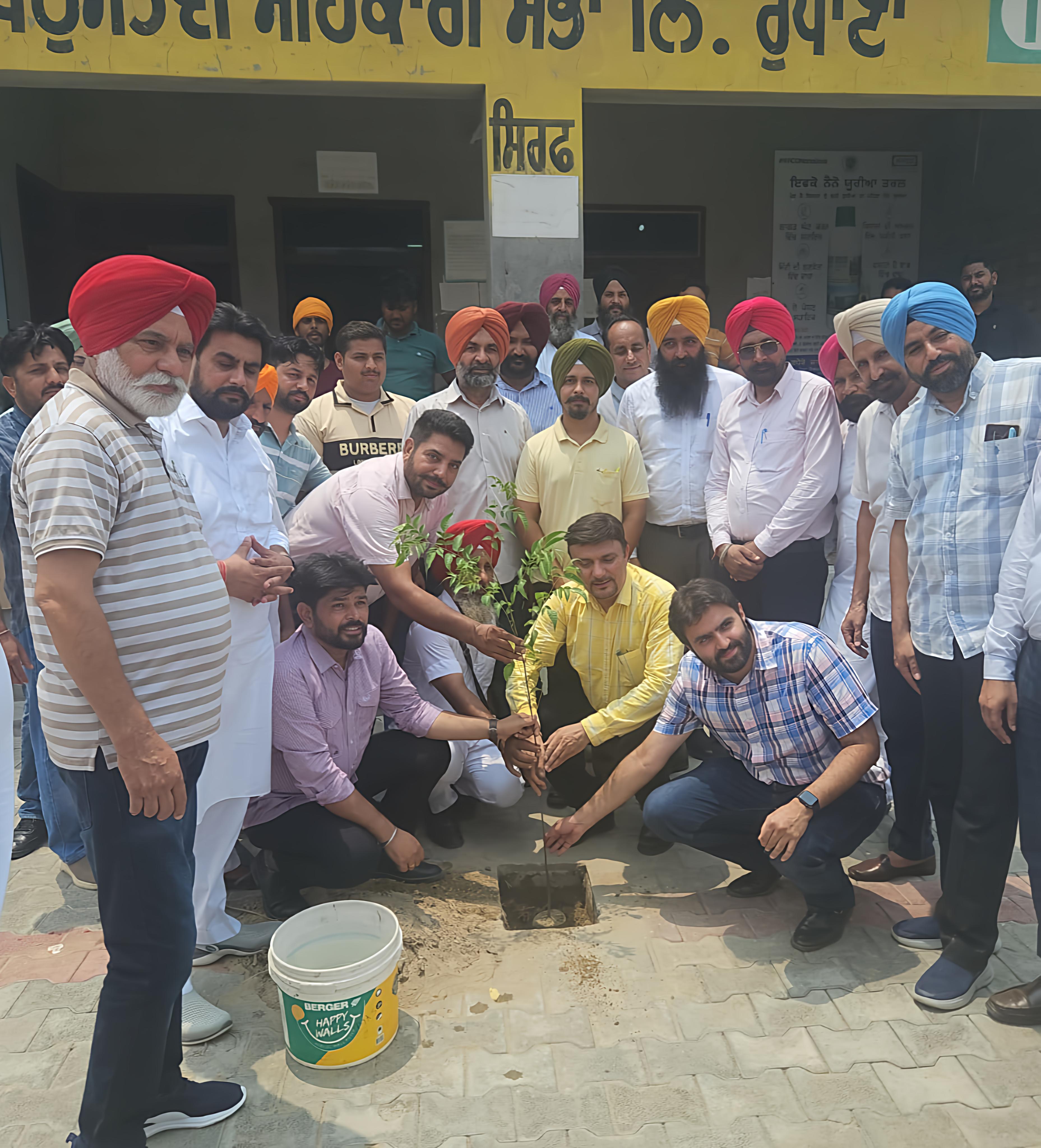 Agricultural Activity 1